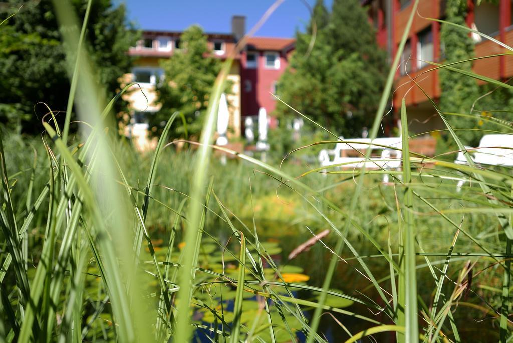 Wagners Hotel Schonblick, C&C Hotels Und Vertrieb Gmbh Fichtelberg Bagian luar foto